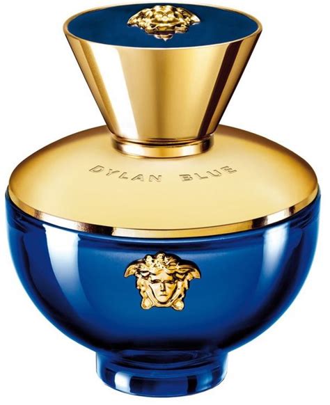 fragrantica versace dylan blue pour femme|versace dylan blue women fragrantica.